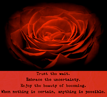 Screen Shot 2017-01-21 at 9.45.32 PM.png