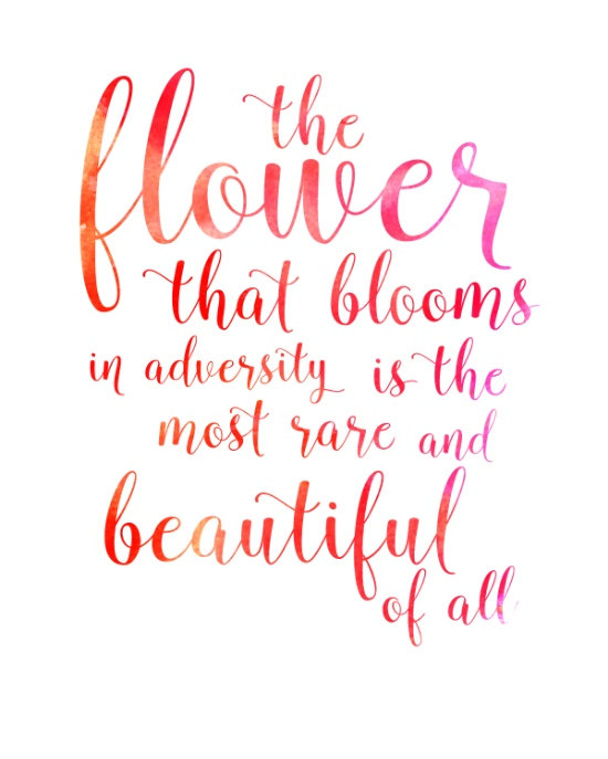 Wednesday's Words: The flower that blooms — Moriah with an O